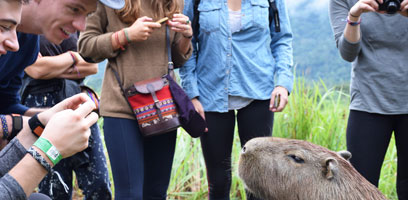 Manu National Park Panoramic