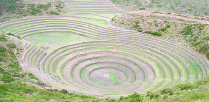 Moray Agricultural Center Ruins