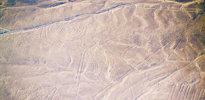 Monkey Geoglyph