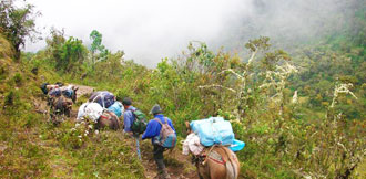 Salkantay muleteer and mules